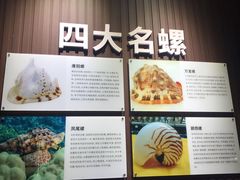 -贝壳王国博物馆