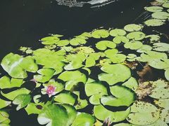 -绍兴鉴湖君澜大酒店