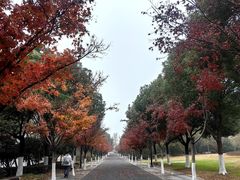 -石湖景区