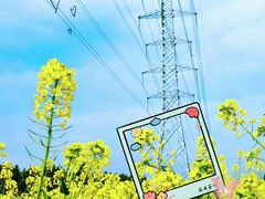 -白鹭湾湿地公园