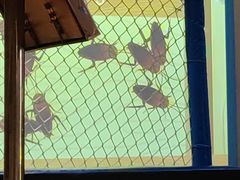 -鑫涛温泉汗蒸时代