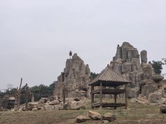 -石家庄市动物园