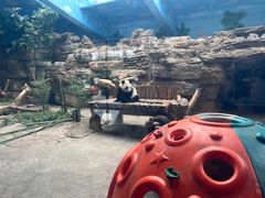 -石家庄市动物园