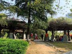 -白塘生态植物园