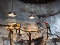 -Zoolung Zoolung动物主题公园(海信广场店)