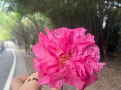 -贵阳市花溪国家城市湿地公园