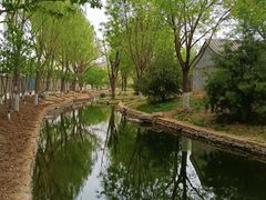 -三里河公园