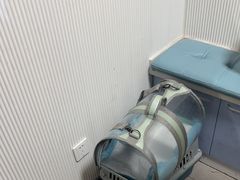 -守诺宠物医院·眼科· 特色牙科·异宠专科(虹口店)