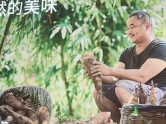 -巴奴毛肚火锅(七宝领展广场店)