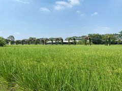 -迪茵湖田家舍生态农场