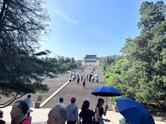 -紫金山山顶公园