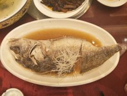 -新城花园酒店·宴会厅