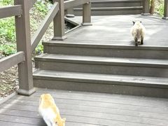 -四门塔风景区