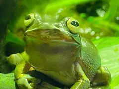 -迪拜水族馆及水下动物园