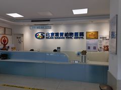 -北京观赏动物医院·24小时大型综合·猫专科·异宠专科