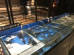 -翠林精选·洗浴·餐饮·住宿(江东大道店)