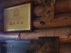 -卓娅俄餐厅(恩和俄罗斯民族乡店)