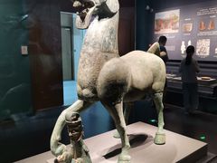 -广西壮族自治区博物馆