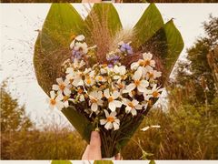 -白鹭湾湿地公园