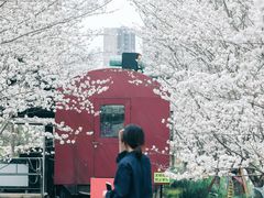 -新天地活力PARK