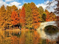 -上海海湾国家森林公园