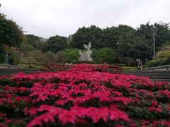 -金鸡山公园