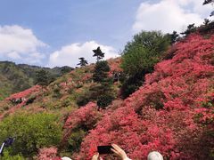 -木兰云雾山