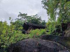 -深圳国际园林花卉博览园