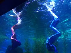 -皇家极地海洋世界-售票处