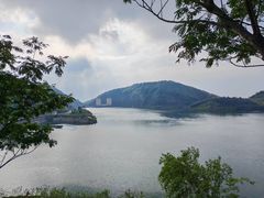 -长沙黑麋峰国家森林公园