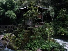 -三峡人家风景区