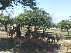 -西安秦岭野生动物园