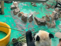 -上海动物园(地铁站)