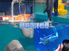 -威海华夏城景区