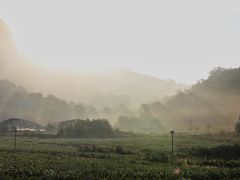 -威海大乳山景区