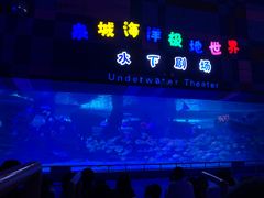 -泉城欧乐堡海洋极地世界