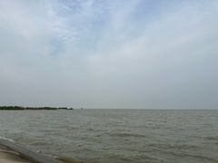 -泗洪洪泽湖湿地景区