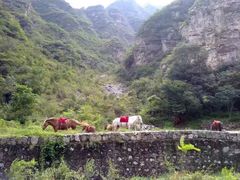 -孤山寨风景区