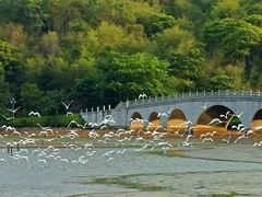 -李小龙乐园(顺德均安店)