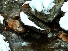 -祁门牯牛降观音堂风景区