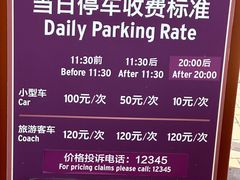 -迪士尼乐园停车场