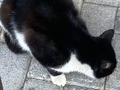 -映月湖中央公园