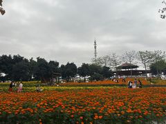 -光明农场大观园