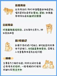 -煊私人定制美发会所