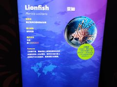 -暹罗海洋世界