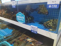 -大锅强·蒸海鲜青岛菜(吾悦广场店)