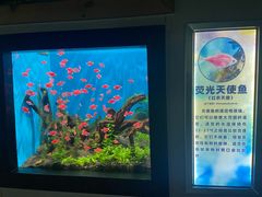 -海合安武汉极地海洋公园