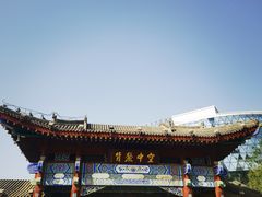 -水车博览园