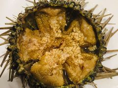 -海胆小馆(东北水饺·春柳店)