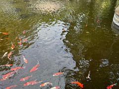 -海南清水湾莱佛士酒店